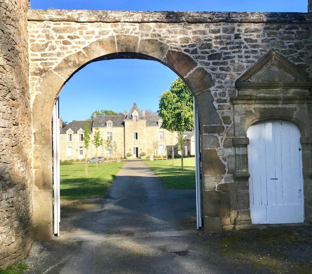 Chateau De Cadouzan Saint-Dolay エクステリア 写真