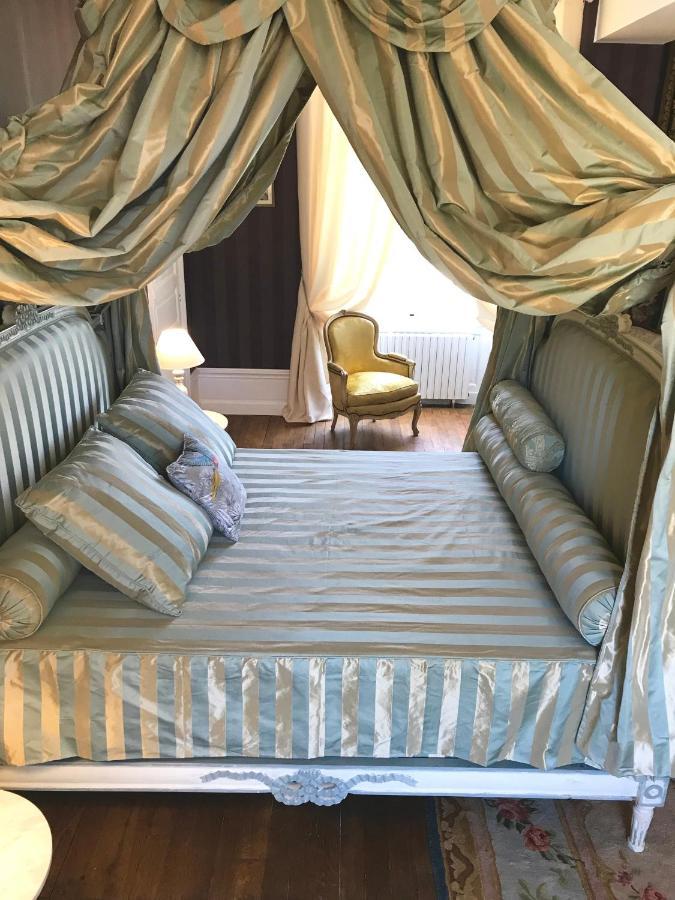 Chateau De Cadouzan Saint-Dolay エクステリア 写真