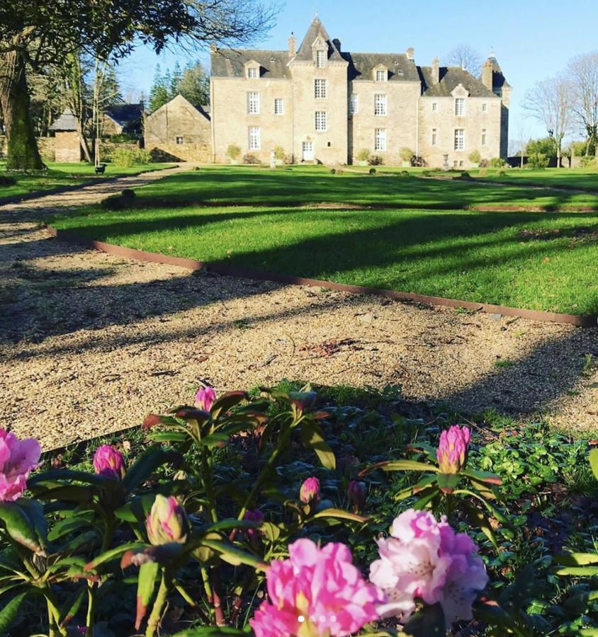 Chateau De Cadouzan Saint-Dolay エクステリア 写真